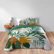 Pack housse de couette 240 x 220 cm FLORIDA coton 42 + drap housse 140 x 190 cm blanc, image n° 2