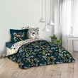 Parure 3 p. 240 x 220 cm imprime 42 fils allover stessy Marine, image n° 3