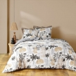 Parure 3 p. 240 x 220 cm polycoton  52 fils Scarlett Gris, image n° 6