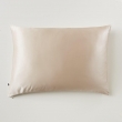 taie d'oreiller 50 x 70 cm soie de mûrier soanne pampa, image n° 1