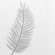 Voilage sablé  140 x 240 cm brodé metallisé Palmeor Argent, image n° 3